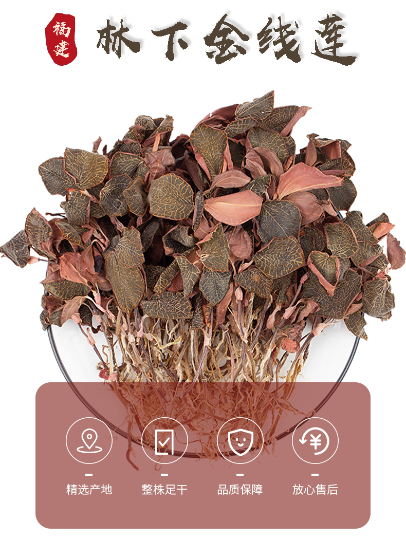 正宗林下<a href=http://www.dgkangle.com.cn/ target='_blank'>金線蓮</a>干品