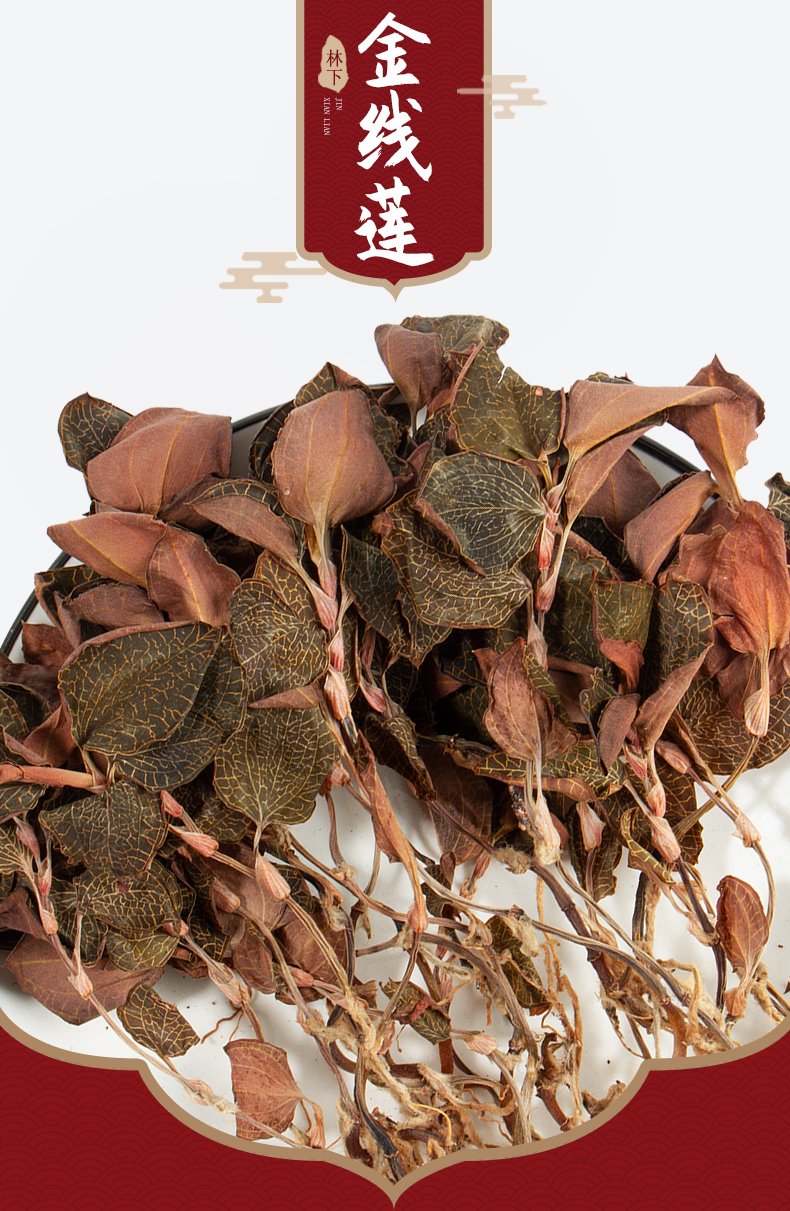 福建南靖<a href=http://www.dgkangle.com.cn/ target='_blank'>金線蓮</a>干品
