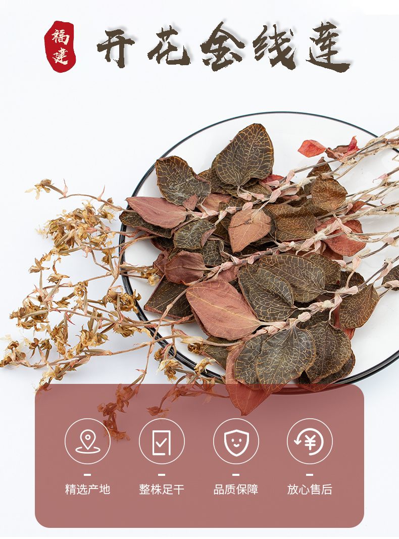 開花<a href=http://www.dgkangle.com.cn/ target='_blank'>金線蓮</a>干品
