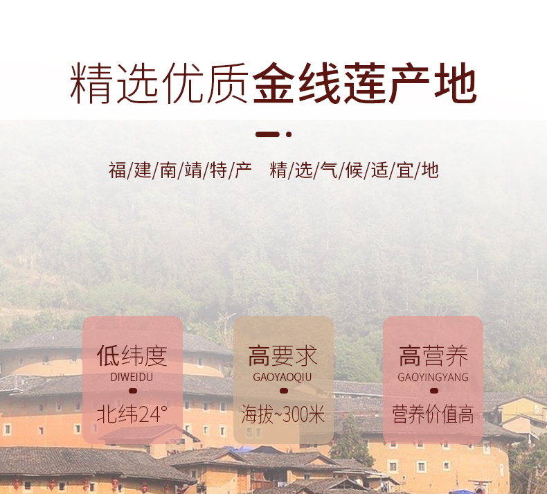 開花<a href=http://www.dgkangle.com.cn/ target='_blank'>金線蓮</a>干品