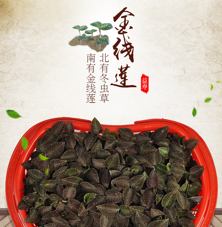 <a href=http://www.dgkangle.com.cn/ target='_blank'>金線蓮</a>鮮品 籃裝